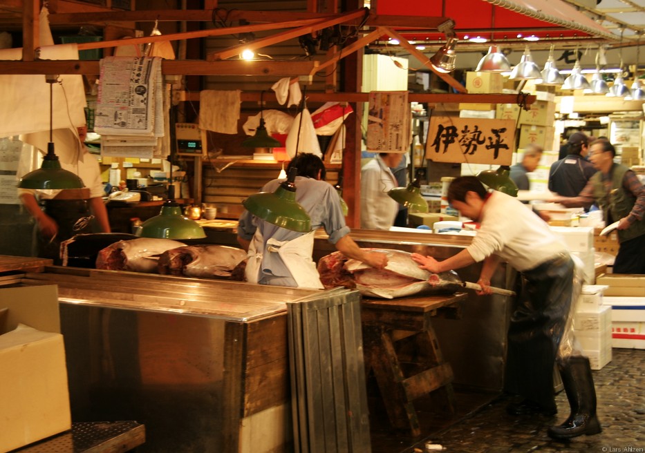 Tsukiji Fish Market 5